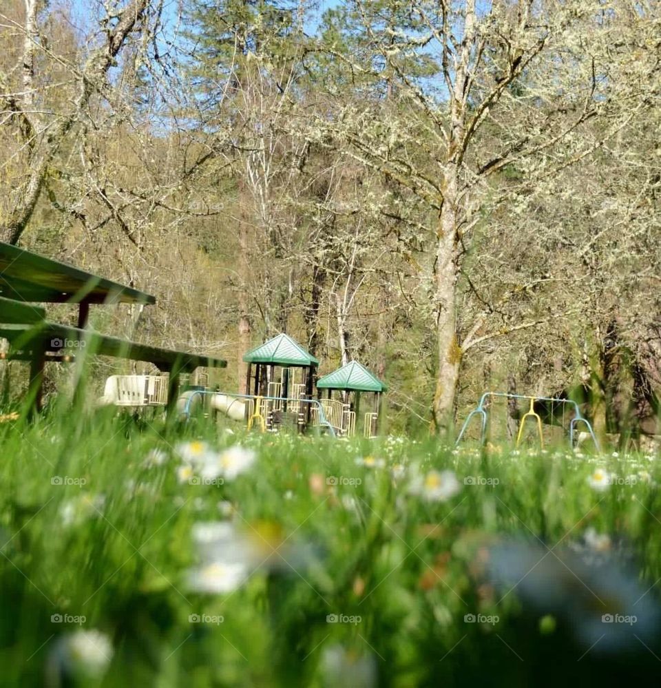 A Bugs view of playground 