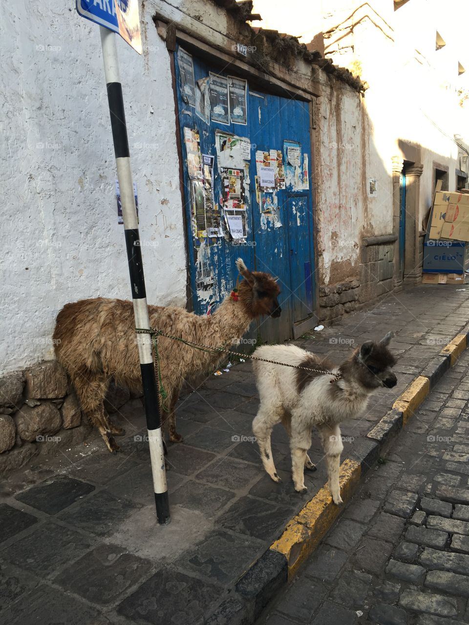 Street, City, Town, Architecture, Pavement
