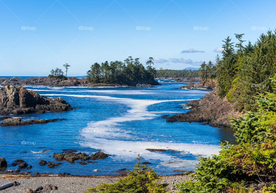 Rugged seaside with trees, rocky island and foamy ocean at Wild Pacific Trail on Vancouver Island, Canada 