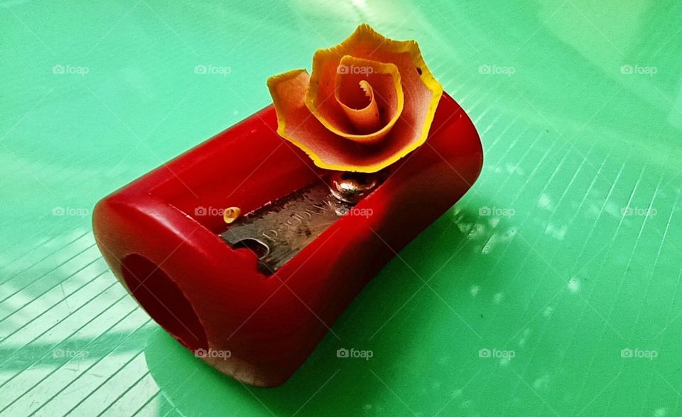 pencil sharpener and pencil shavings