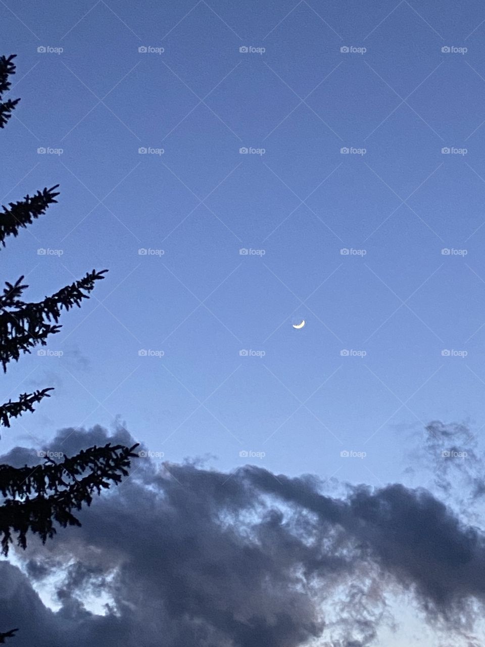Crescent moon