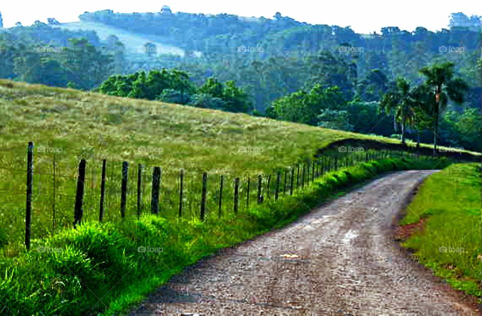 Estrada de terra