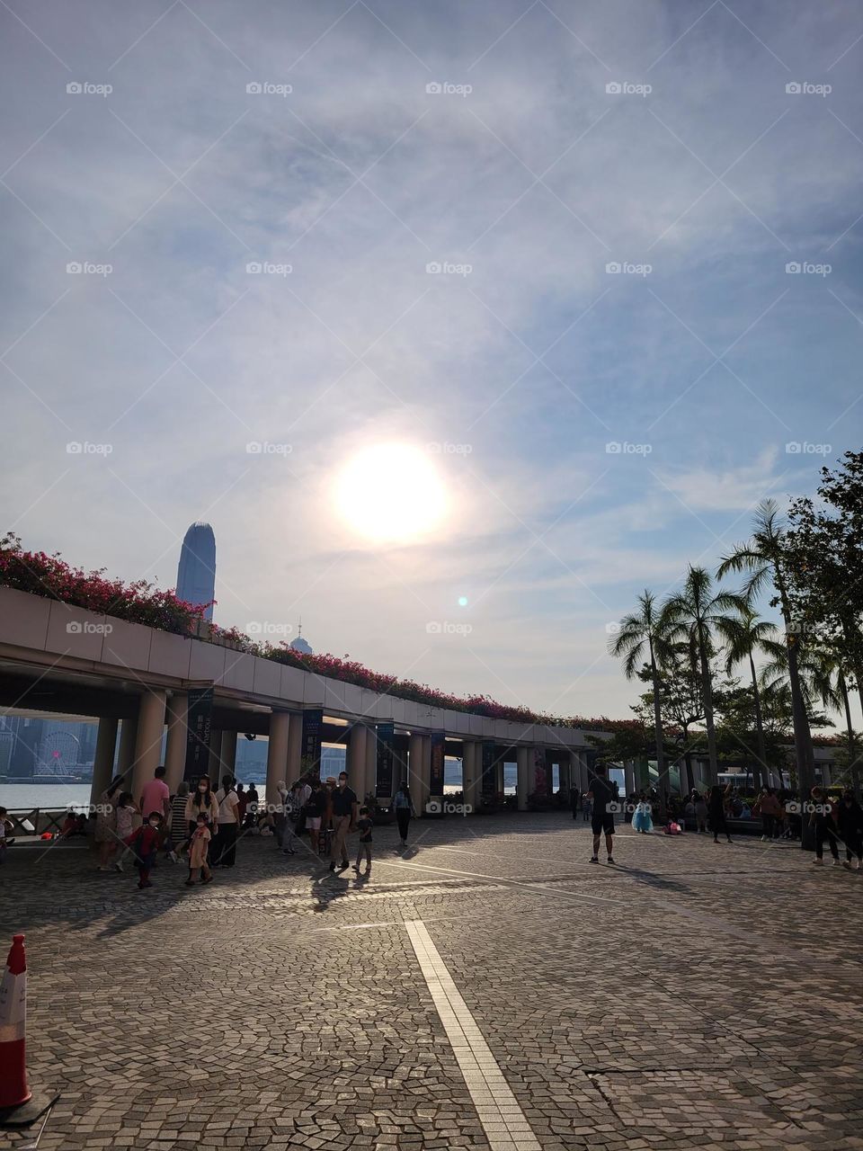 Sunset at Hong Kong Star Ferry TST