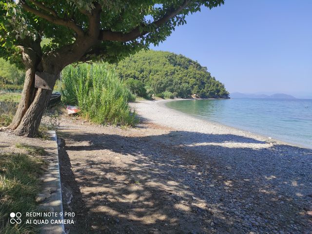 agriovotano evoia Greece
