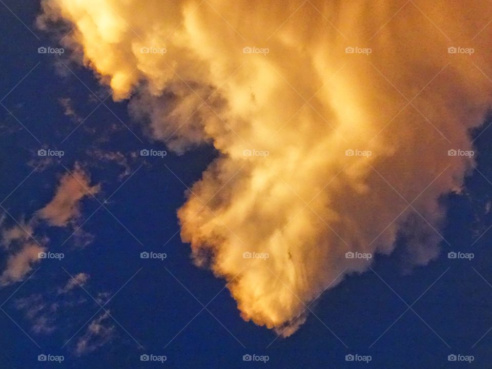 Angels in the afternoon