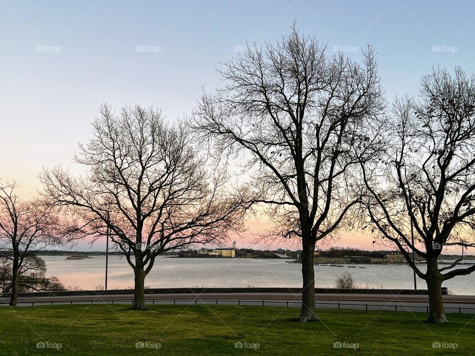 Tranquil silent landscape with bare trees silhouette and sunset horizon over the Baltic Sea on the background