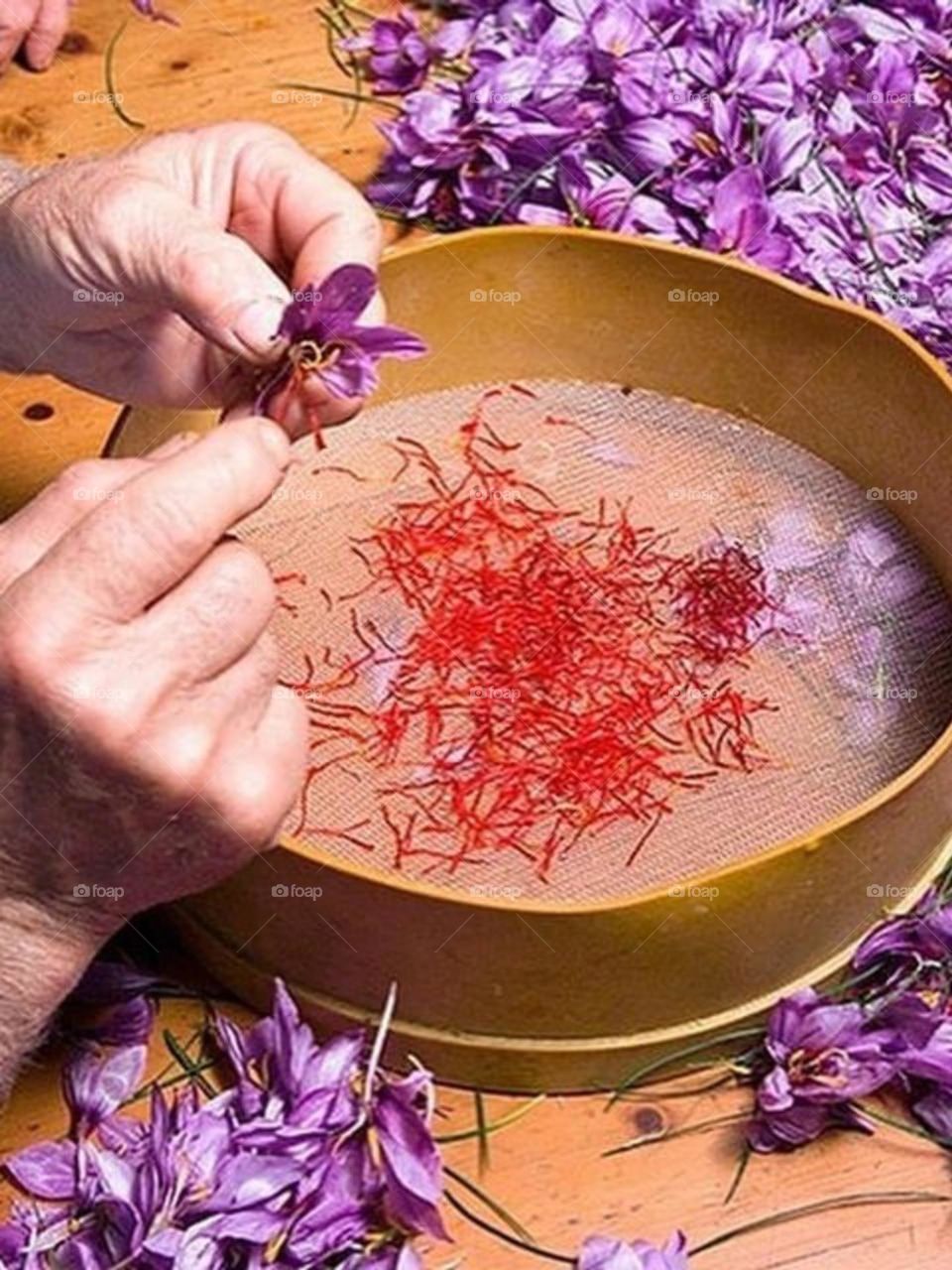 Saffron, a very valuable, delicious spice