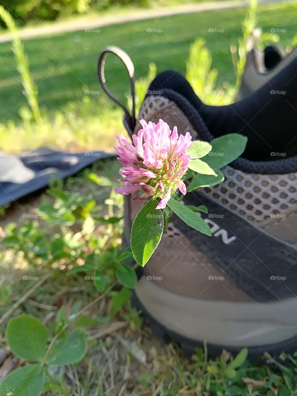 Hiking boots story