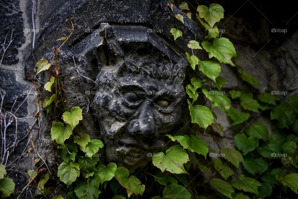 Spooky stone face