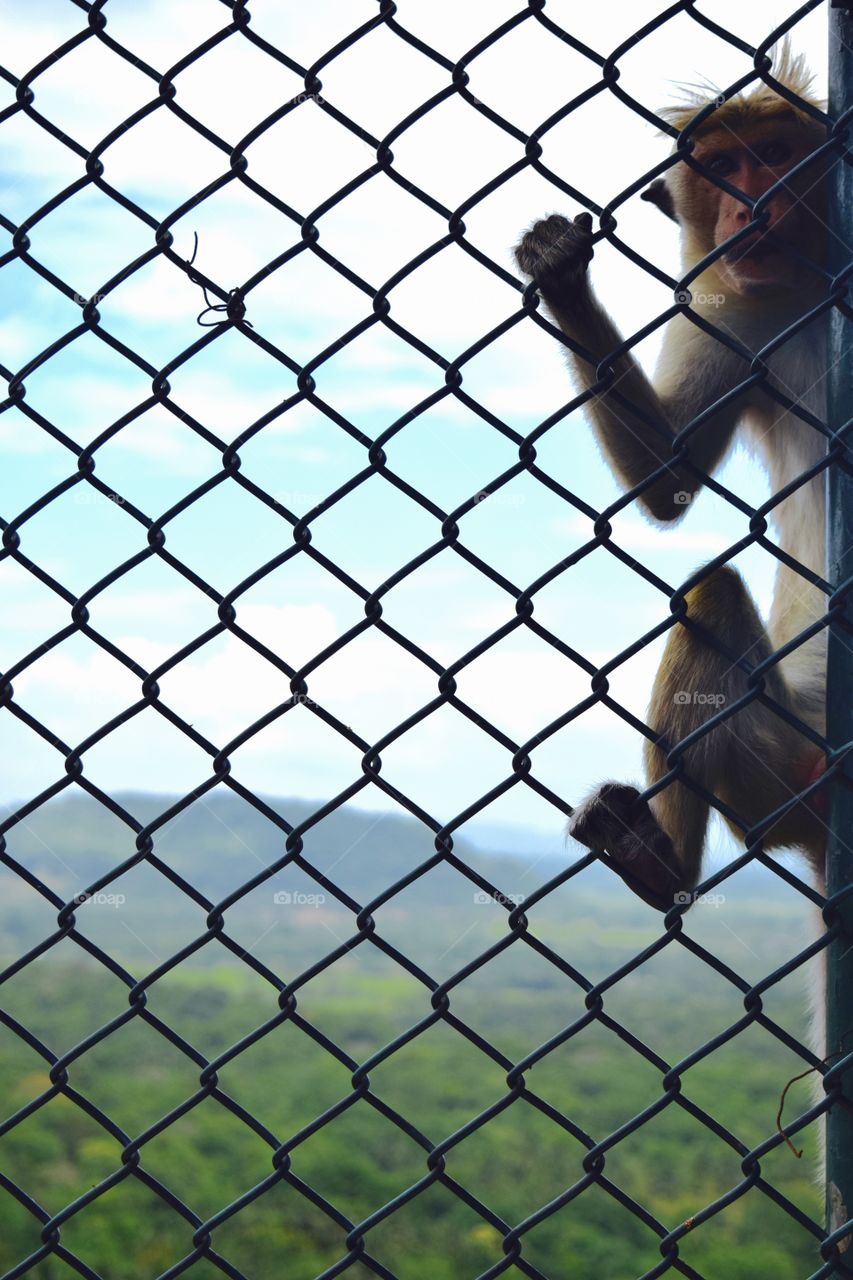 "What... what's that black machine thing..." ~Monkey