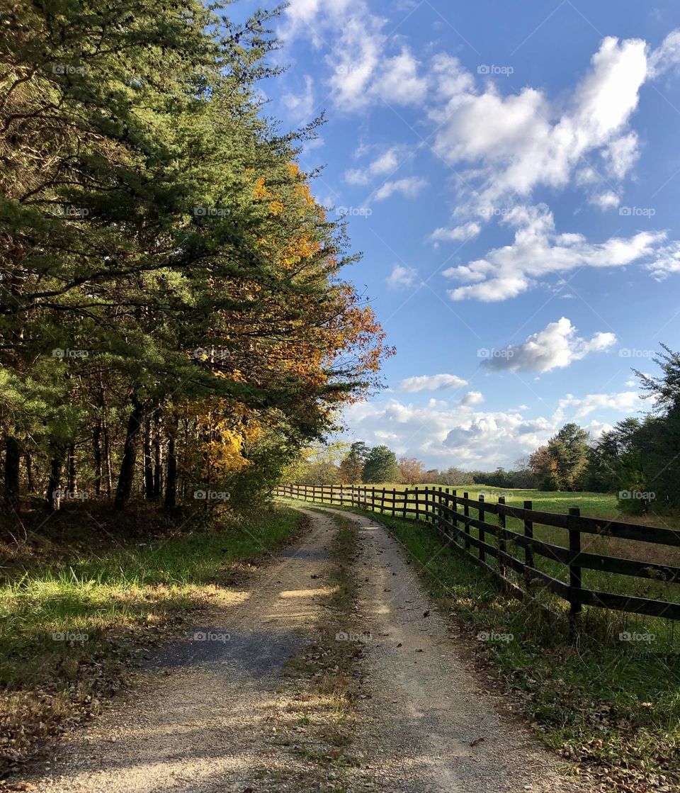 Autumn begins on a rural scene - dirt path runs along a wooden fence, disappearing around the trees on a sunny day.