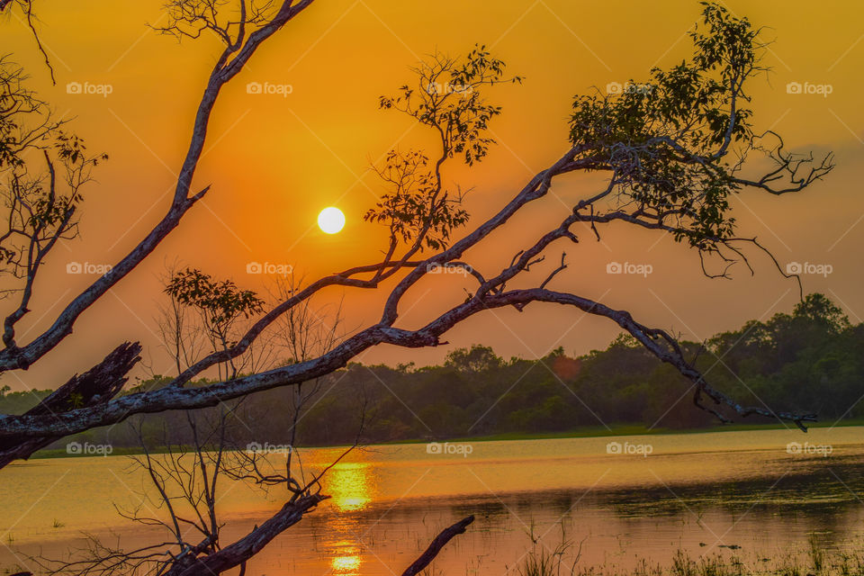 Ceylon Sunset