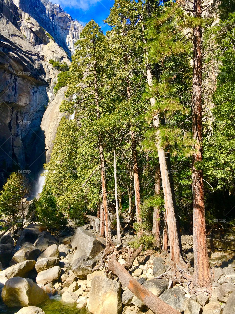 More photos of Yosemite National Park