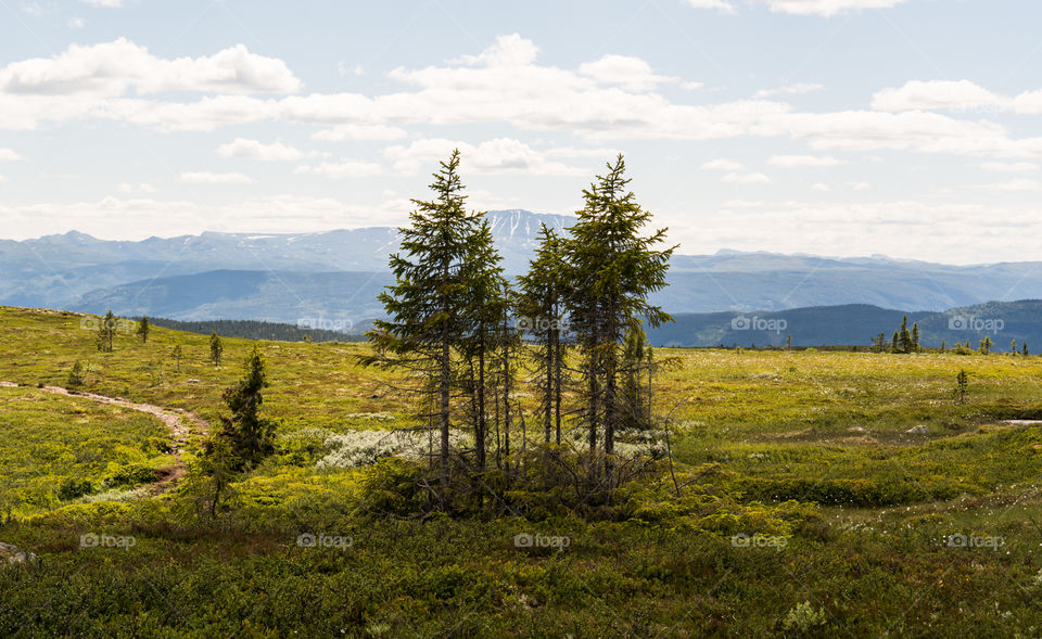 Hiking in Norway