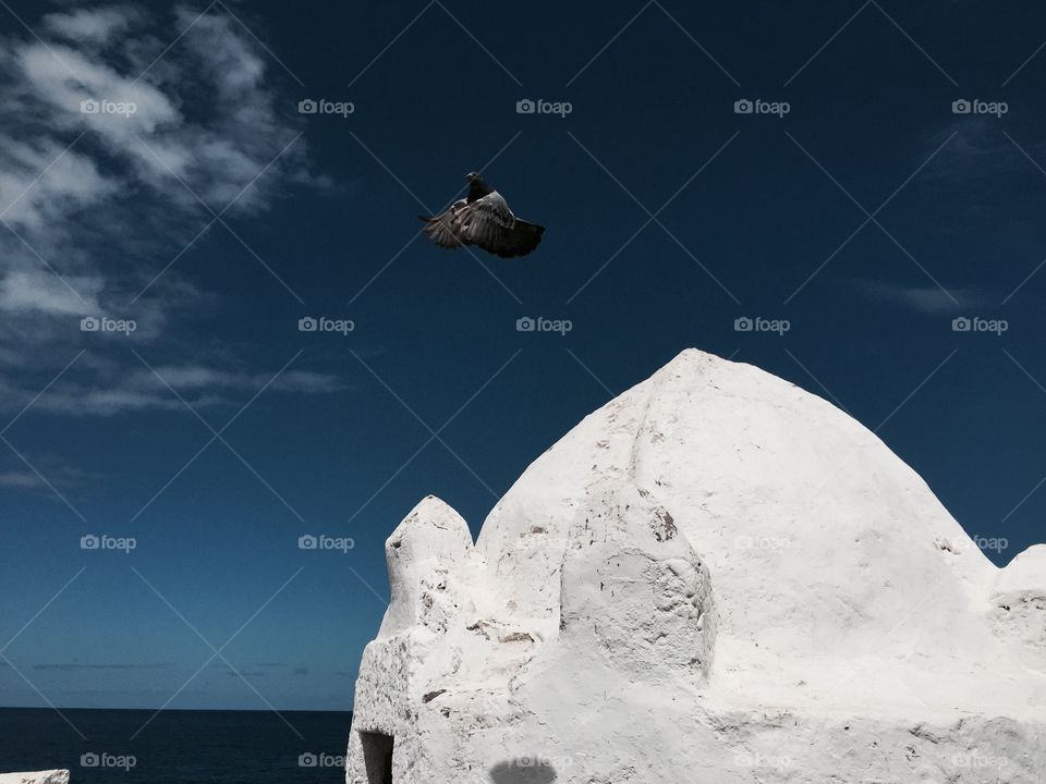 A pigeon flyong in the blue sky next to an old white building