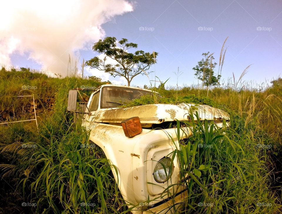 abandoned truck