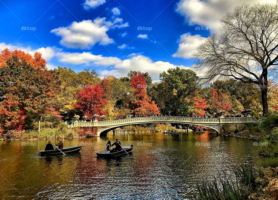 The Bow Bridge, Central Park, New York City