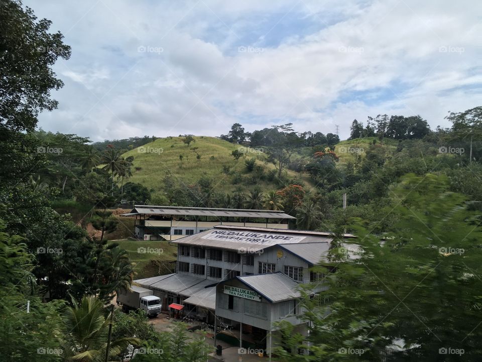 Ceylon tea factory