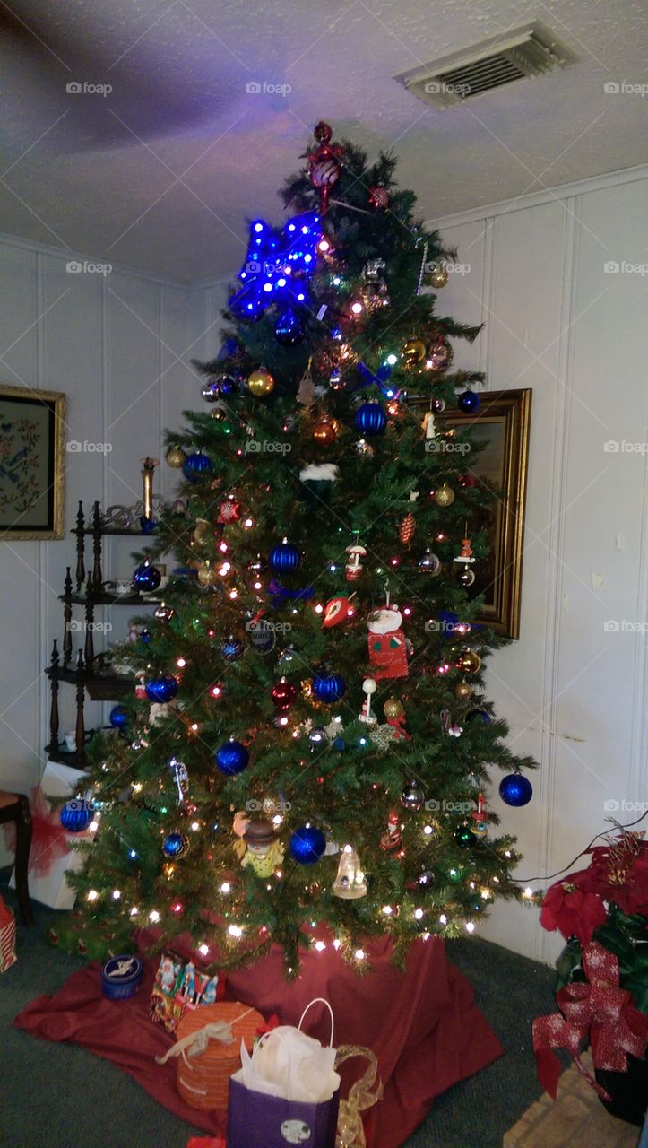 Christmas, Christmas Tree, Winter, Tree, Pine