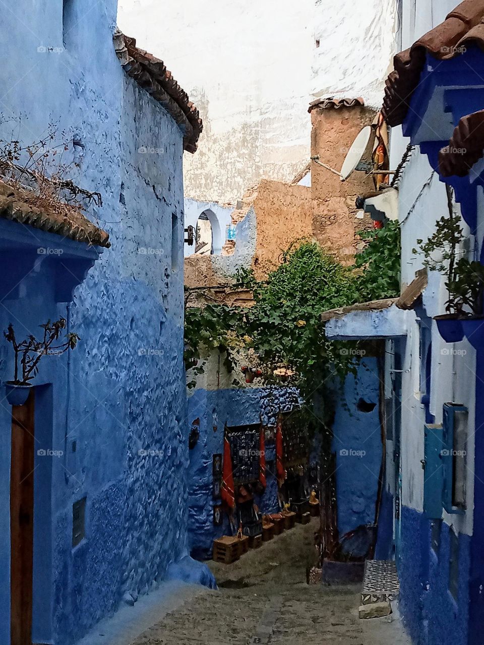 Ancien house's in chefchaouen city of morocco
