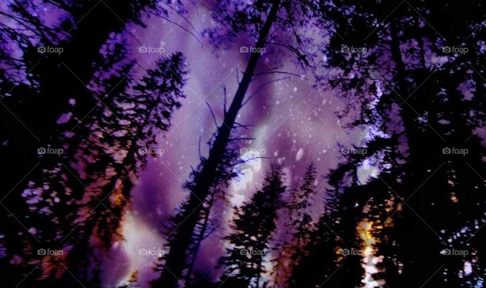 Purple splash in the stary sky .Purple haze.