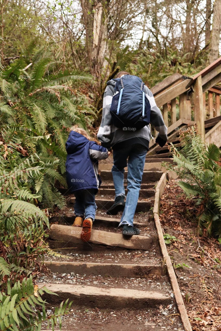 Hiking in the Forest