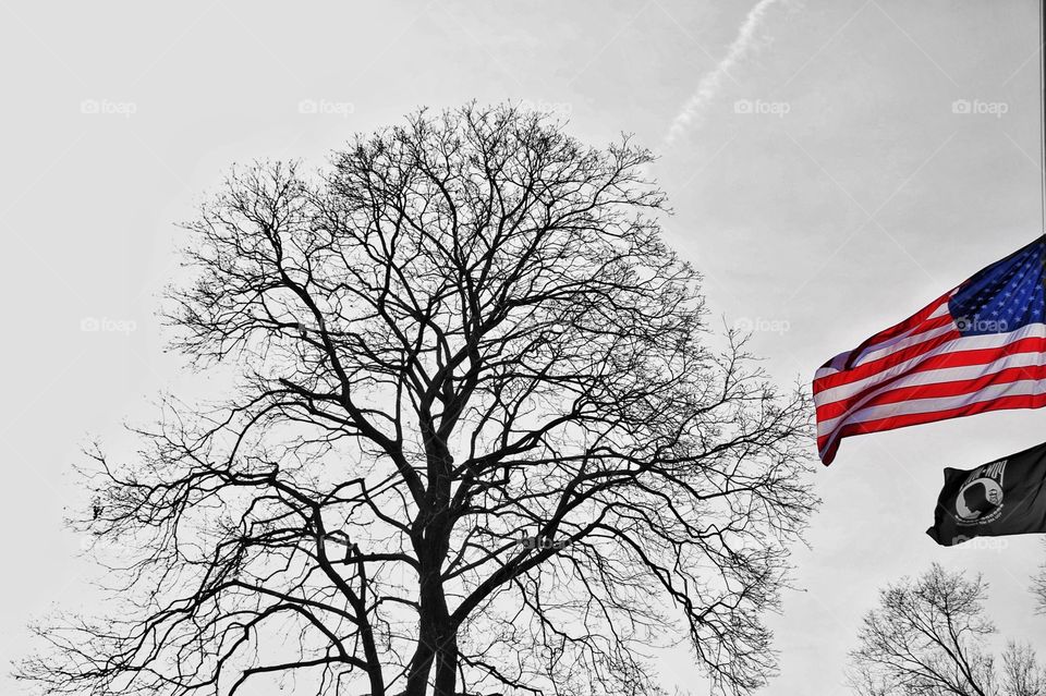 Black and Red White Blue 