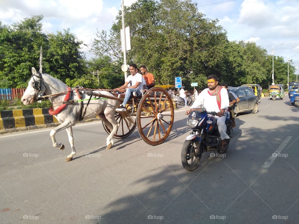 Participating in horse cart race in Prayagraj on Monday of Sawan.