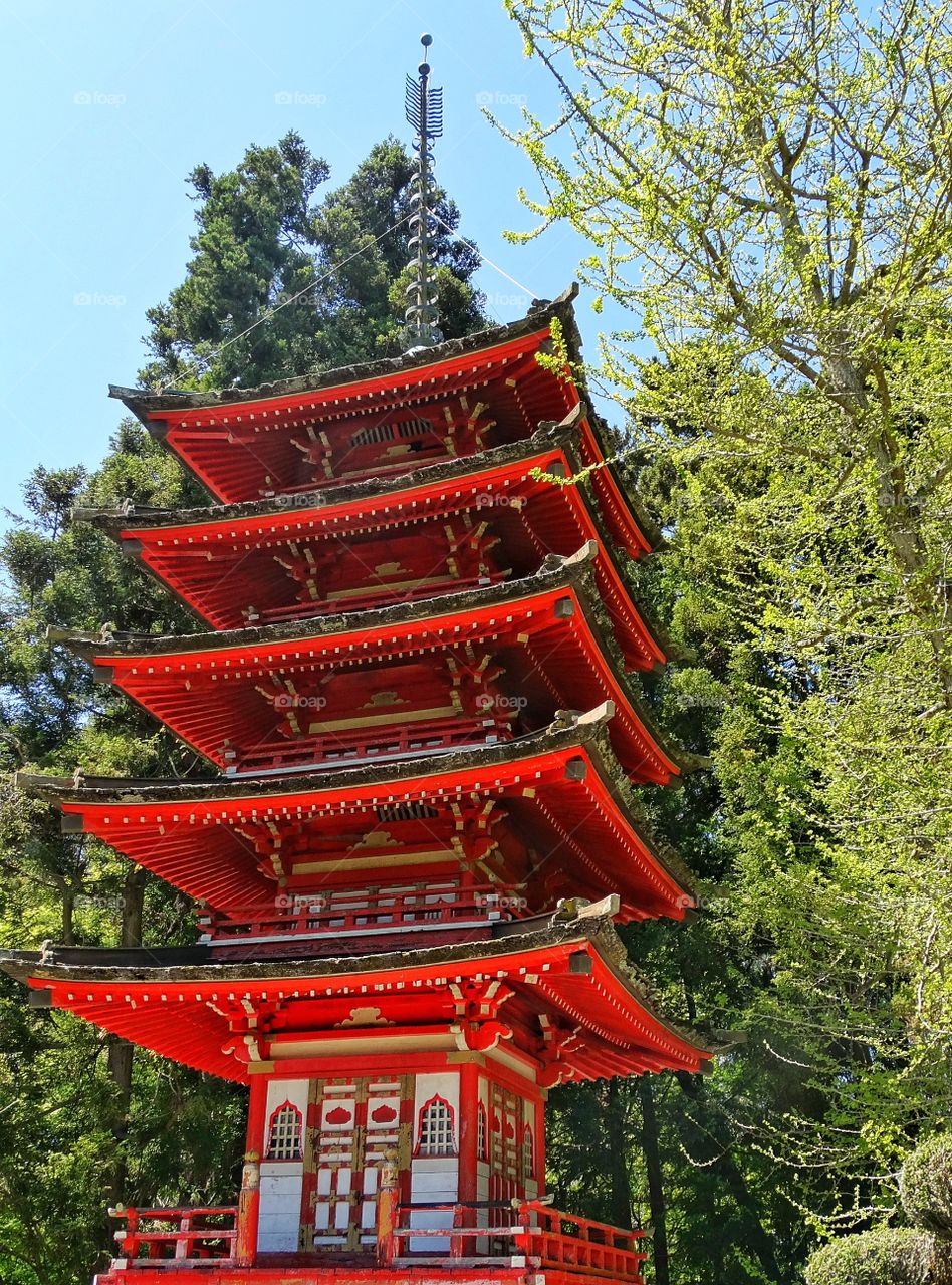 Japanese Pagoda. Beautiful Architecture Of Traditional Japanese Pagoda
