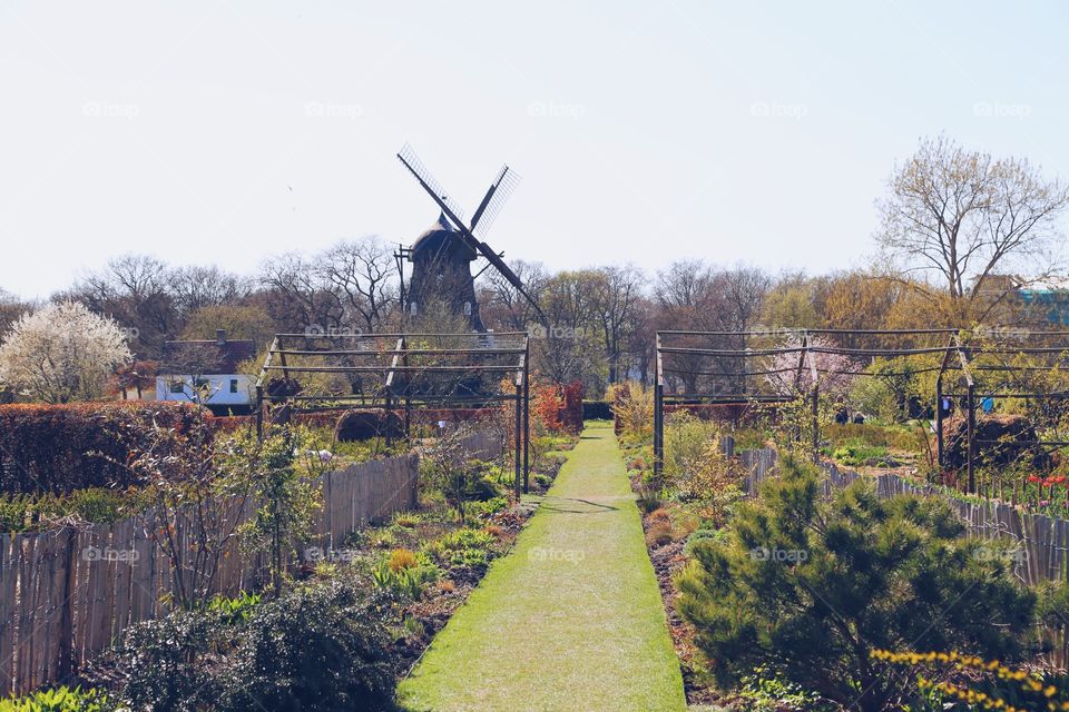 Malmö slottsträdgård