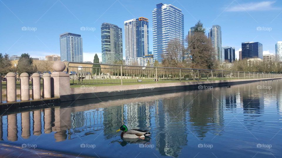 Bellevue park,
Ones again I took this picture from my Samsung galaxy S6 3/16/18, it was a nice day hot and sunny I always come to this park for run or for walk not fare from my place nice and convenient for exercise outdoors.