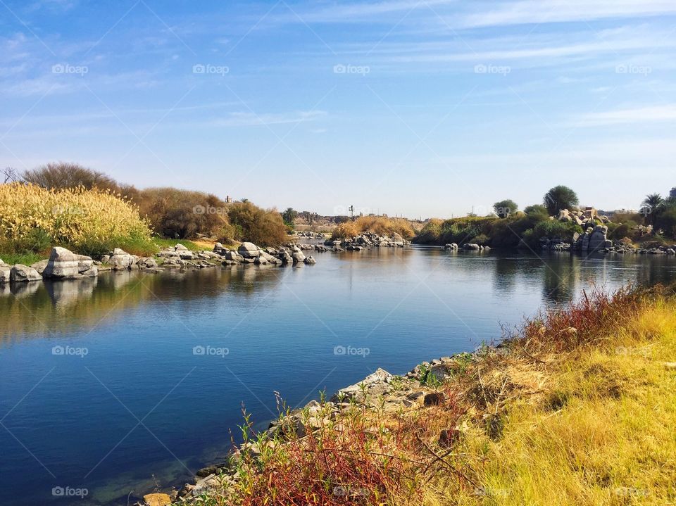 Nature along the Nile River 