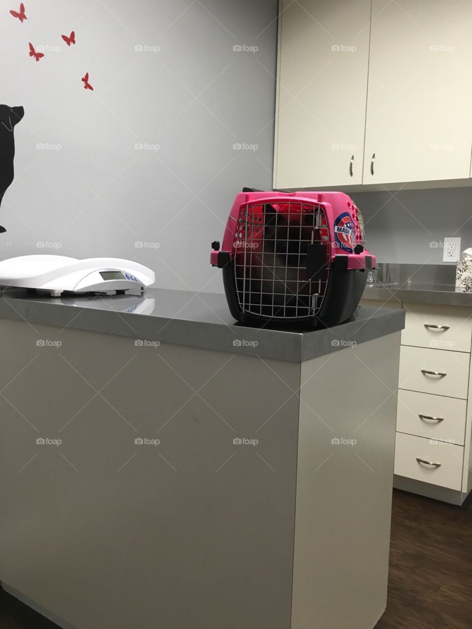 Room, Indoors, Exhibition, Furniture, People