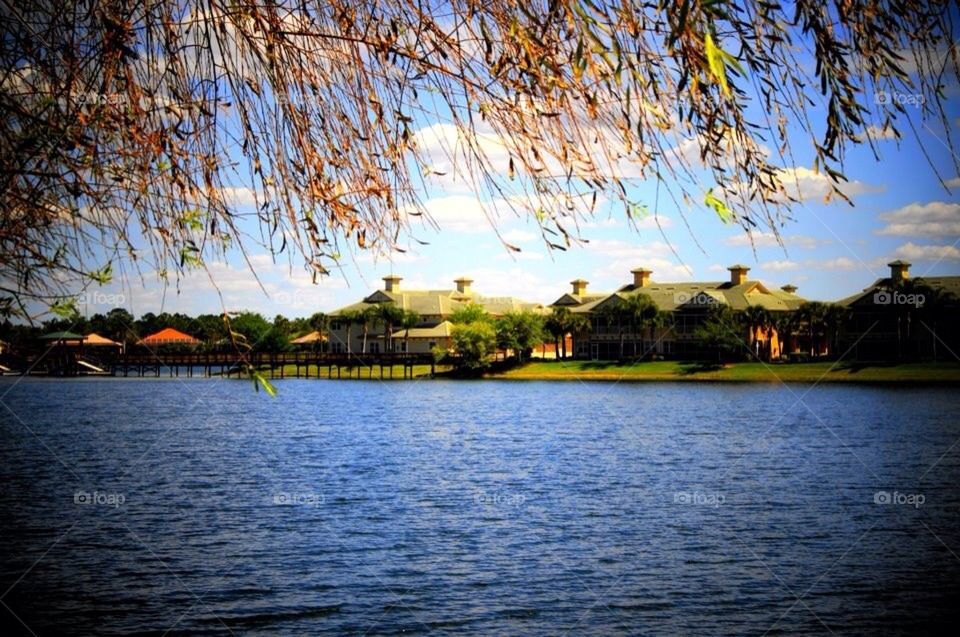 Lakewood ranch 