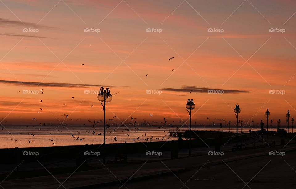 Sunset, Dawn, Beach, Water, Sun