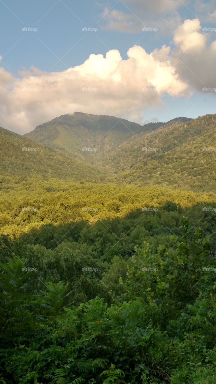 Clingmans dome North Carolina