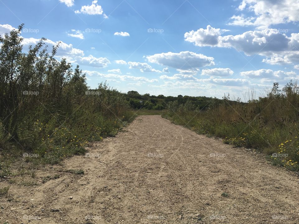 Landscape, Tree, Road, Sky, Nature