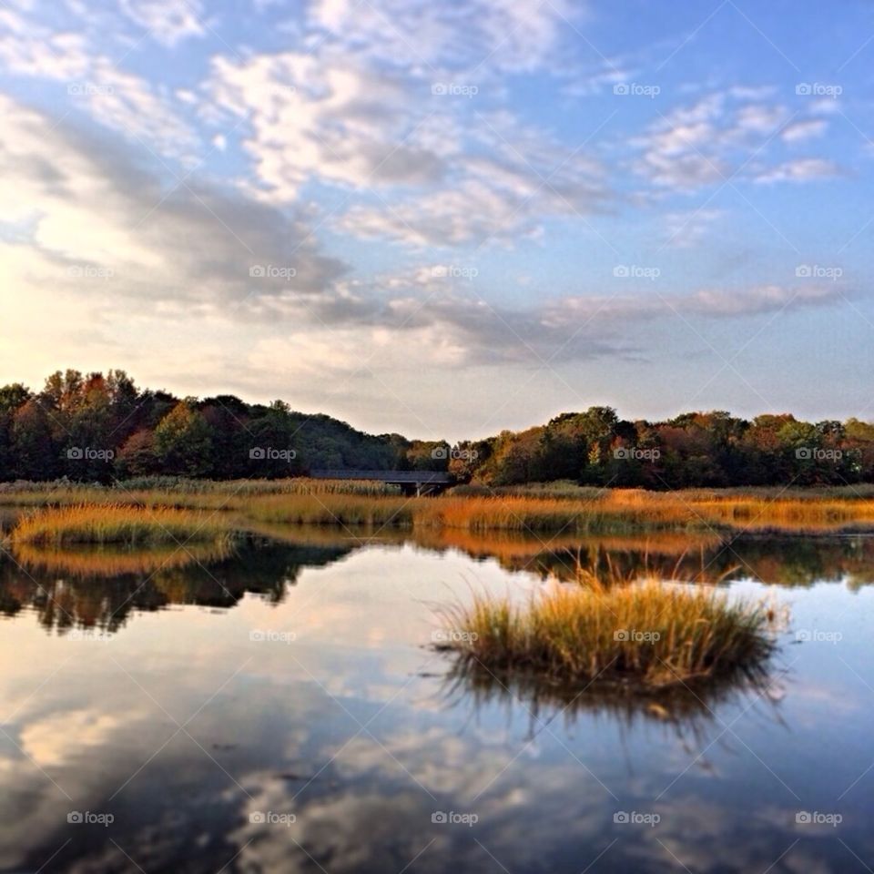 Shark river Neptune New Jersey