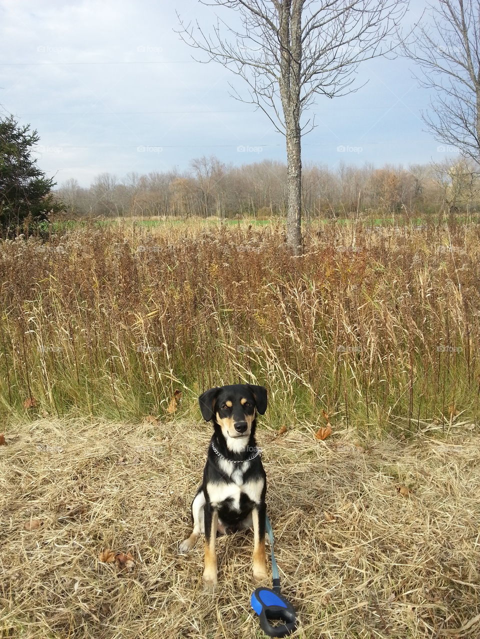 Enjoying a wisconsin november