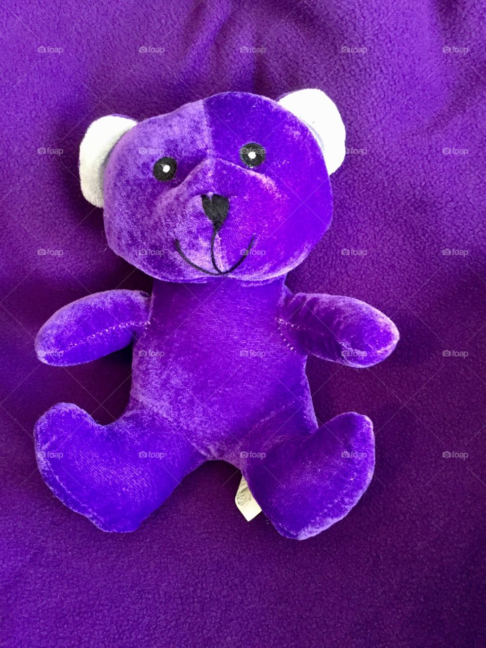 Purple Bear