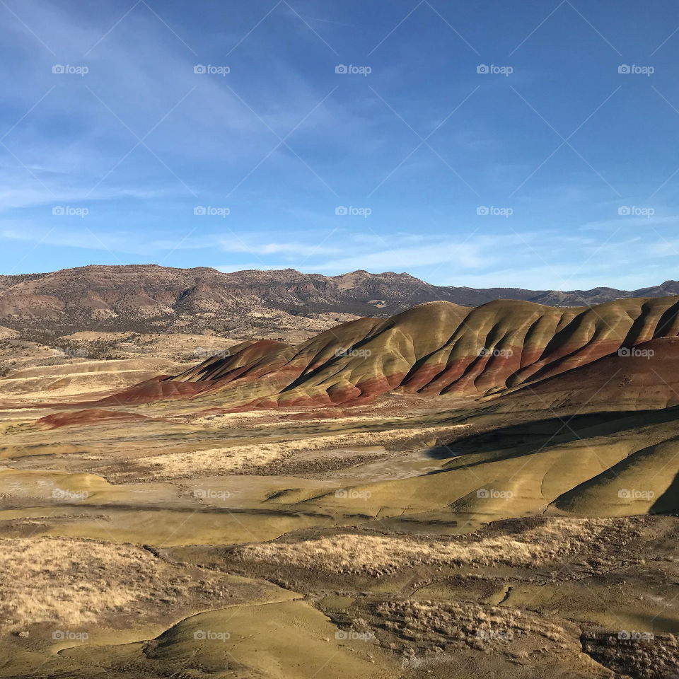 The incredible beauty of the red, gold, and browns of the textured Painted Hills in Eastern Oregon on a bright sunny day.