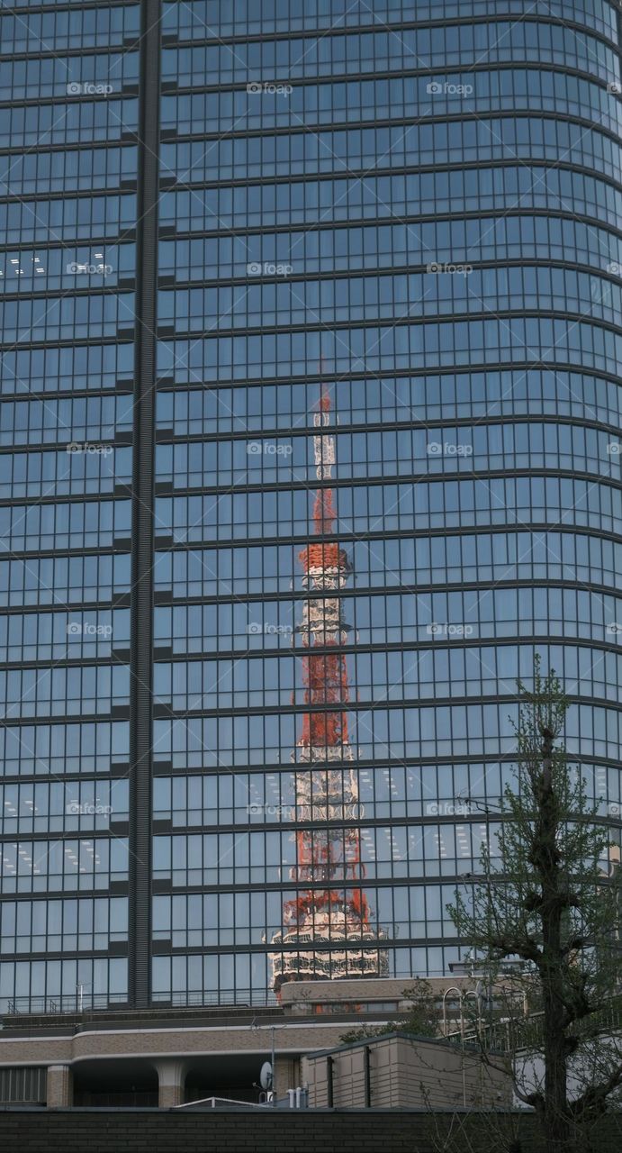 Tokyo tower