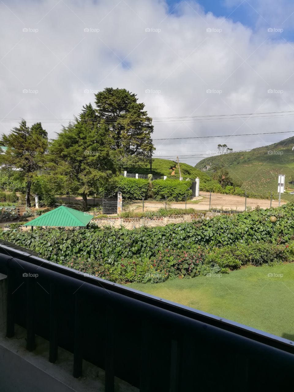 Green 💚💚💚💚can breath life into our lives .........,