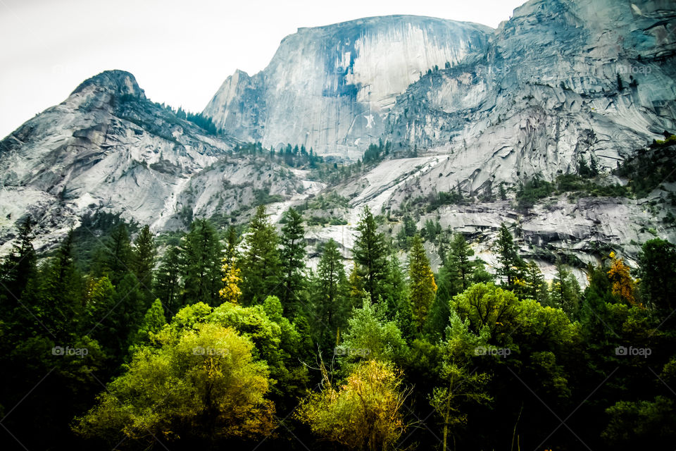 Yosemite National Park