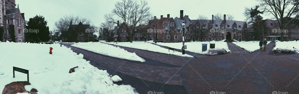Princeton Panoramic 