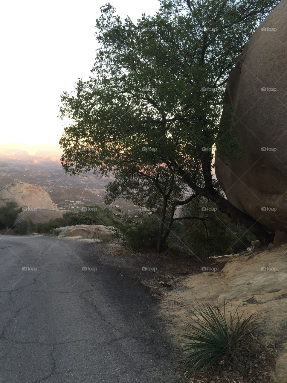 Life is difficult, but nothing is impossible... 