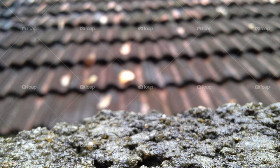 fence over roof