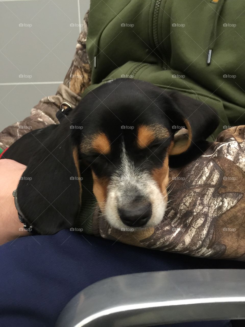 Oreo is happy when she's with daddy