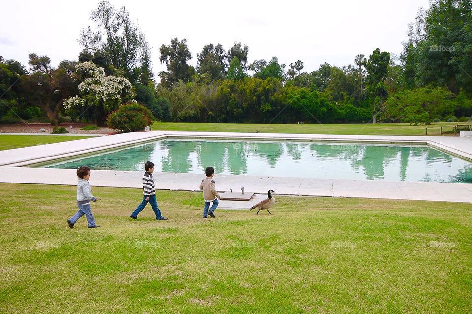 Enjoying Spring. The boys chasing a duck! 