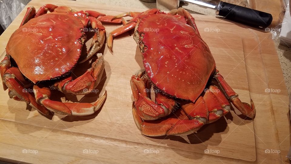 Dungeness Crab is in season